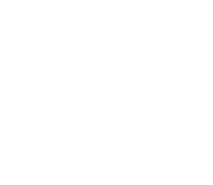 Vittala Coaching – Andrej Dirk